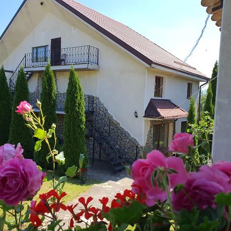 Appartement Casa Carpati à Zărneşti Extérieur photo